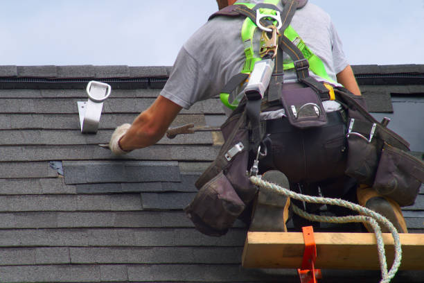 Best Roof Maintenance Services  in Derby, CT
