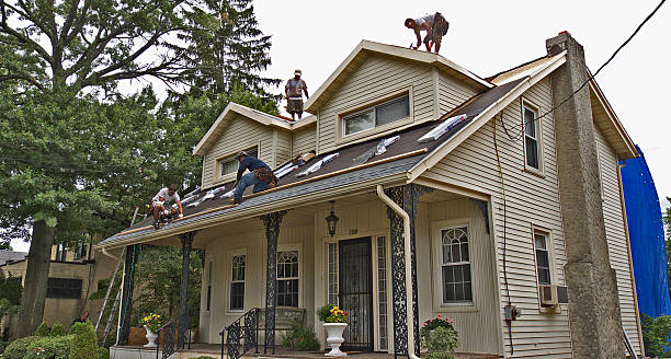 Best Roof Maintenance Services  in Derby, CT